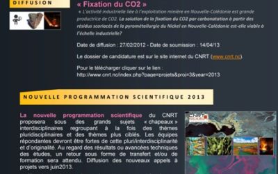NEWSLETTER CNRT n°4 [février 2013]