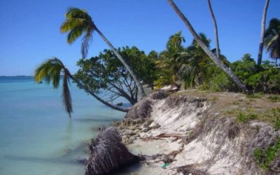 INVITATION : le dépôt calcomagnésien pour la remédiation et développement durable du littoral [30 et 31/10/2017]