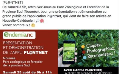 L&rsquo;appli PL@NTNET répertorie les plantes calédoniennes